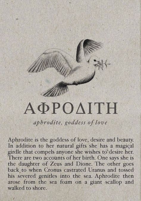 Greek Mythology Stories, Aphrodite Cabin, Greece Mythology, Aphrodite Aesthetic, Aesthetic Header, Greek Mythology Gods, Daughter Of Zeus, Greek Gods And Goddesses, Greek And Roman Mythology