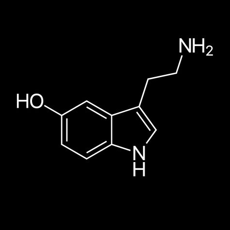 "Serotonin, a complex little molecule that helps stabilize your mood. Made from 100% cotton and has a tear away label for maximum comfort. Sizing: S = 18\" wide x 28\" long M = 20\" wide x 29\" long L = 22\" wide x 30\" long XL = 24\" wide x 31\" long 2XL = 26\" wide x 32\" long 3XL = 28\" wide x 33\" long  4XL = 30\" wide x 34\" long 5XL = 32\" wide x 35\" long" Serotonin Molecule, Science Tshirts, Adult Outfits, Science, Music Clothes, T Shirt