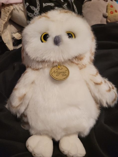 Harry Potter Plushies, Owl Plushies, Kate Daniels, Spring Drawing, Owl Plush, Annabeth Chase, Cute Stuffed Animals, Cute Toys, Percy Jackson