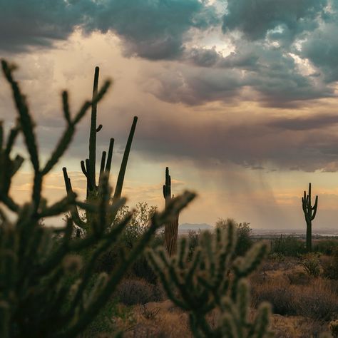 Monsoon season hikes are 🩵🫶🏻💜. #whitetankmountains #whitetankmountainsconservancy #hikeaz #azmonsoon #arizonamonsoonseason #arizonasky #arizonahighways Monsoon Season, White Tank, Arizona, Hiking, Quick Saves