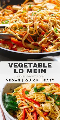 Vegan Vegetable Lo Mein, Vegan Asian Noodles, Tofu And Noodles, Vegan Vegetable Recipes, Vegan Sauce, Vegetable Lo Mein, Tofu Vegan, Vegan Asian, Lo Mein