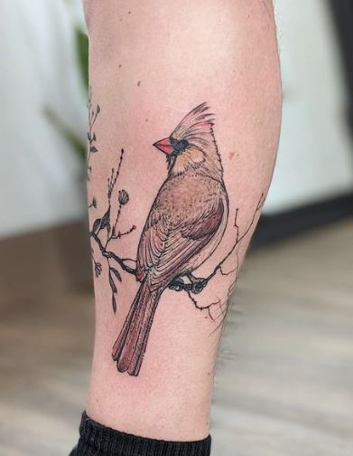 Female Cardinal Tattoo, Red Cardinal Meaning, Momma Tattoo, Cardinal Meaning, Bird Tattoo Ideas, Tattoo Memorial, Robin Tattoo, Cardinal Tattoo, Cardinal Tattoos