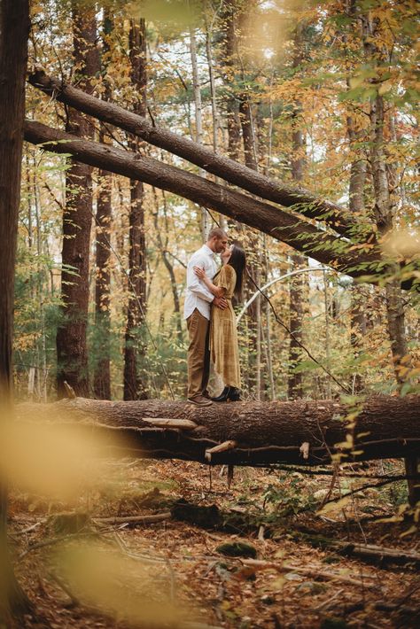 Fall in New England is one of the most beautiful times of the year and also fall is the most popular time for engagement photos. Couples love embracing the fall colors, changing leaves and cooler temps. Love this engagement photo of a couple on a fallen tree in the woods. Creative Fall Engagement Photos, Sequoia Engagement Photos, Fall Forest Family Pictures, Autumnal Engagement Shoot, Fall Creek Photoshoot, Fall Engagement Pictures Leaves, Swamp Engagement Photos, Fall Woods Engagement Pictures, Woodsy Couple Photos