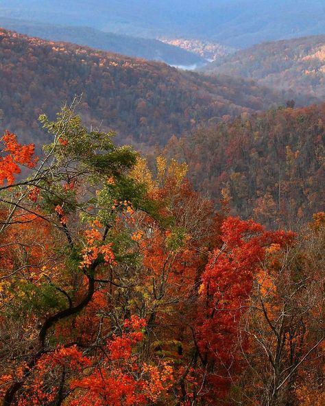 Arkansas, USA Arkansas Nature, Ponca Arkansas, How To Camp, Arkansas Travel, Ozark Mountains, Autumn Beauty, Fall Color, Go Camping, Fall Foliage