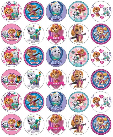 Imprimibles Paw Patrol, Paper Fairy, Paw Patrol Cupcakes, Edible Wafer Paper, Paw Patrol Skye, Everest Paw Patrol, Paw Patrol Girl, Skye Paw, Cupcake Images