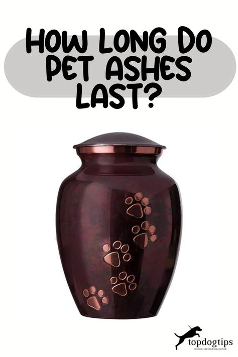 How Long Do Pet Ashes Last? Diy Dog Urns For Ashes, Pet Ashes Memorial Display, Pets Ashes Ideas Dogs, Ideas For Pet Ashes, How To Display Pet Ashes, Dog Urn Display At Home, How To Memorialize A Pet, What To Do With Dog Ashes, Dog Bowl Memorial Ideas