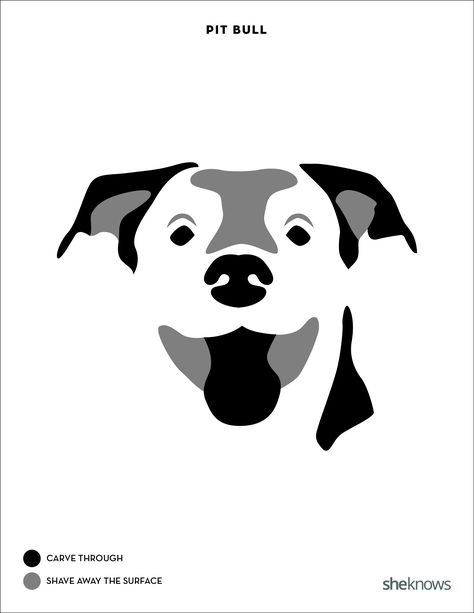 Pit bull Pumpkin Dog Carving, Bull Images, Ras Anjing, Bulldog Images, Dog Template, Dog Stencil, Carving Templates, Printables Ideas, Disney Pumpkin Carving