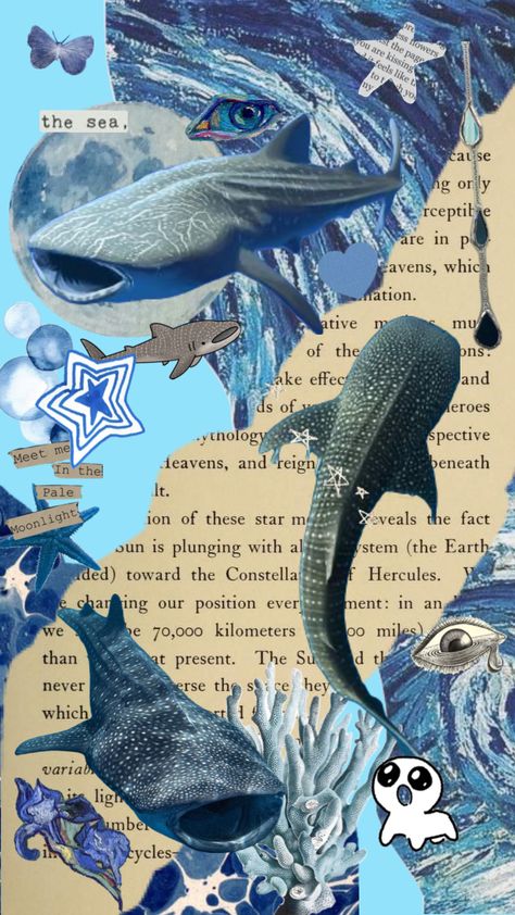 Whale Shark Wallpaper, Shark Background, Shark Wallpaper, Shark Pictures, Shark Art, Cute Whales, Beautiful Sea Creatures, Cute Shark, Blue Shark