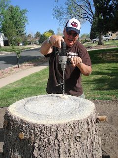 Louise Sanchez / Herbs Crafts Gifts: How we hollowed out a stump How To Hollow Out A Log, Cedar Stump Ideas, How To Hollow Out A Tree Stump Planters, Tree Stump Bird Bath, Stump Bird Bath, Tree Stump Planter Ideas, Log Planter Ideas, Log Planters, Stump Decor