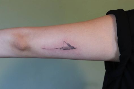 Stingray tattoo Marine Tattoo, Stingray Tattoo, Ray Tattoo, Surf Tattoo, Whale Tattoo, Subtle Tattoos, Manta Ray, Sleeve Tattoos For Women, Sister Tattoos