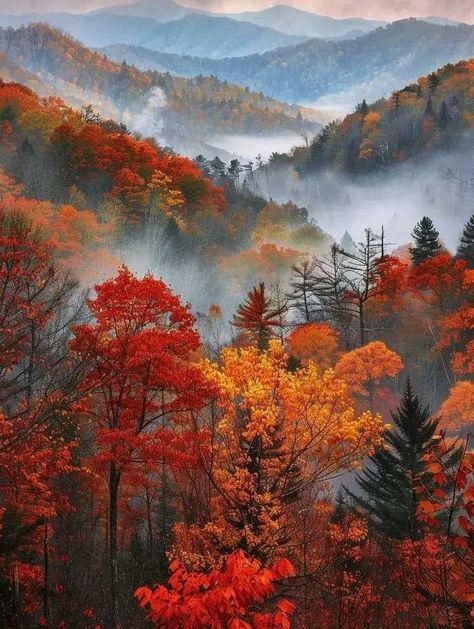 Fall Screensavers, Nature Clips, Cozy Fall Vibes, Fall Stickers, Fall Images, Autumn Scenes, Pretty Landscapes, Great Smoky Mountains National Park, Autumn Scenery