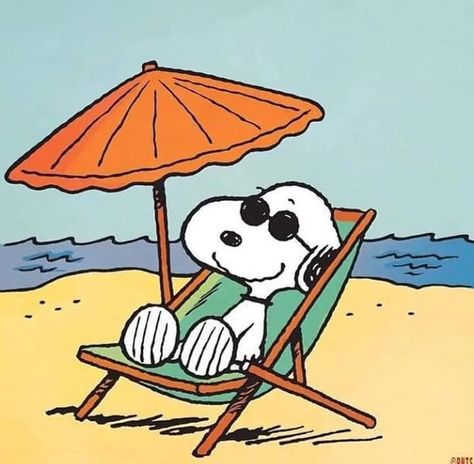 Snoopy Und Woodstock, Charlie Brown Y Snoopy, Woodstock Snoopy, Snoopy Cartoon, Vintage Cartoons, Snoopy Images, Peanuts Cartoon, Snoopy Wallpaper, Snoopy Quotes