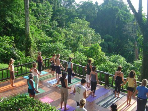 Nature Retreat, Garden Escape, Ashtanga Vinyasa Yoga, Yoga Travel, Yoga Iyengar, Outdoor Yoga, Yoga Photography, Vinyasa Yoga, Pilates Reformer