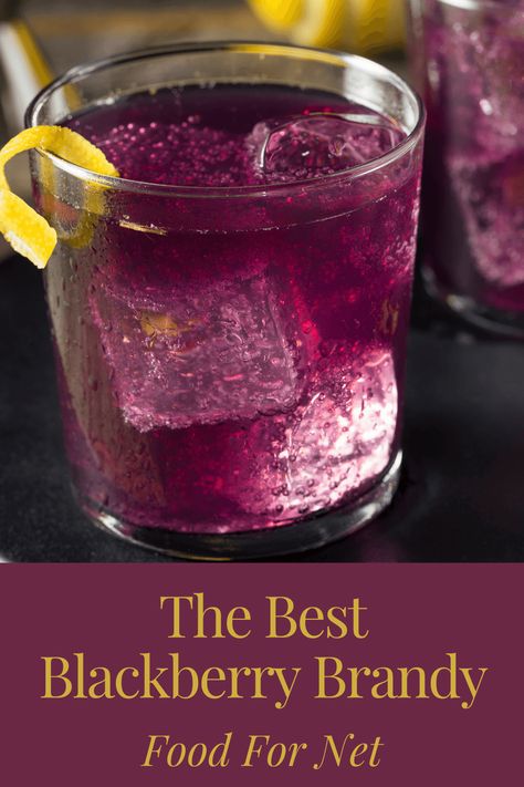 If you're looking for something unusual, why not try blackberry brandy? These brands are all ideal ones to get you started. #brandy #spirits Blackberry Brandy Recipe, Blackberry Brandy Drinks, Blackberry Brandy, Brandy Drink, Brandy Recipe, Brandy Glass, Beverage Recipes, Light Rum, Fruity Cocktails