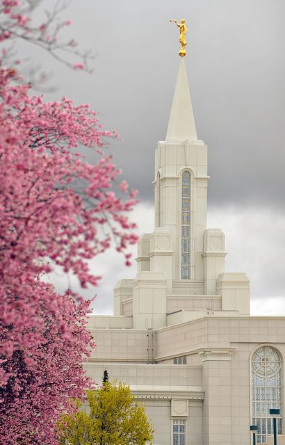 Bountiful Temple Temple Lds Aesthetic, Timpanogos Temple, Draper Temple, Gilbert Temple, Bountiful Temple, Mount Timpanogos, Lds Pictures, Angel Moroni, Lds Temple Pictures