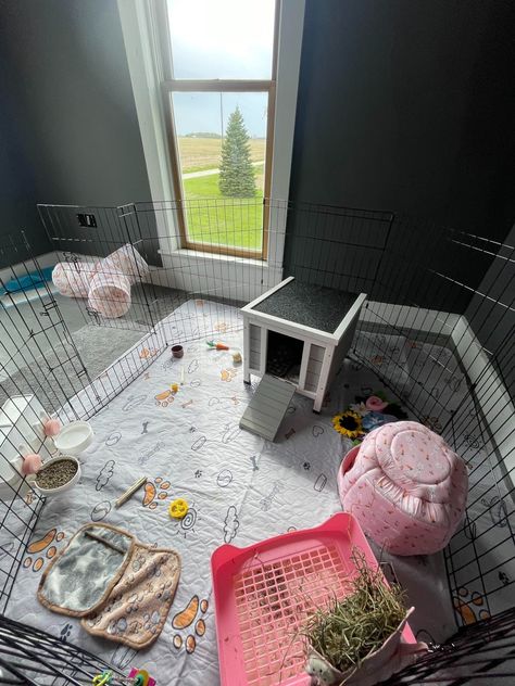 Amazon.com : MidWest Homes for Pets Foldable Metal Dog Exercise Pen / Pet Playpen, Black w/ door, 24'W x 48'H, 1-Year Manufacturer's Warranty : Pet Playpens : Pet Supplies Rat Playpen, Ferret Playpen, Hamster Playpen, Playpens For Dogs, Pet Playpens, Cat Playpen, Pet Playpen, Dog Playpen, Pet Enclosure