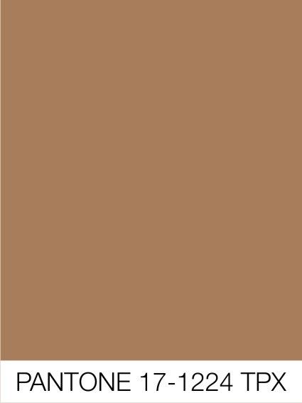 Camel Color Palette, Deep Autumn Palette, Colour Trend, Beige Color Palette, Color Board, Halloween Wallpaper Iphone, Warm Undertone, Color Analysis, Paint Colors For Home