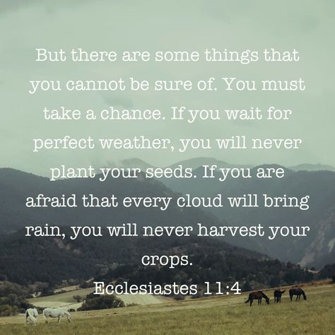 This verse spoke to me. 😊 Ecclesiastes 11:4 ERV Ecclesiastes 4:12, Ecclesiastes 11:4, Ecclesiastes 11, Proverbs 31 30, Perfect Weather, Proverbs 31, Food For Thought, Proverbs, Bible Quotes