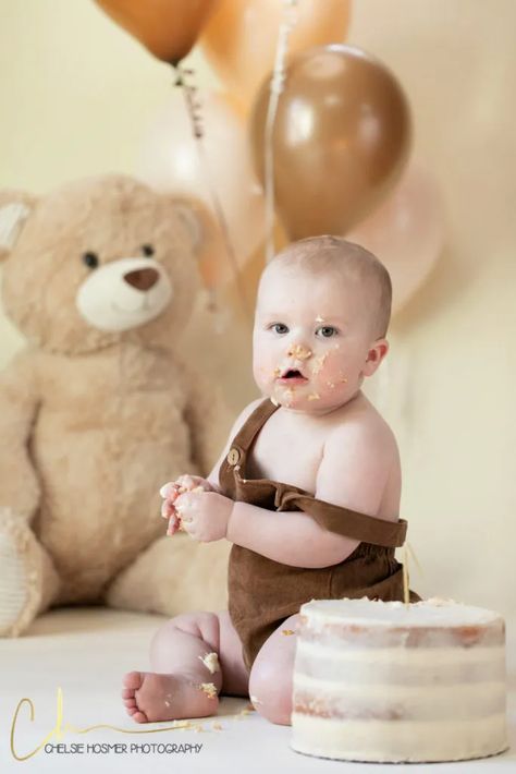 Teddy Bear One Year Old Photoshoot, First Birthday Bear Theme, Birthday Cake Teddy Bear, Birthday Bear Theme, 6 Month Birthday Cake, Bear Photoshoot, Teddy Bear Birthday Theme, Cake Teddy Bear, Teddy Bear 1st Birthday