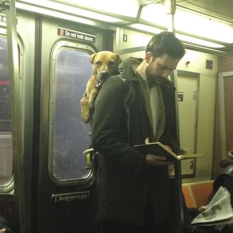 Instagram-Account-Shares-Hot-Dudes-Reading-Books Home Remedies For Snoring, Snoring Remedies, Guys Read, John Locke, Nyc Subway, Grunge Look, Book Aesthetic, Book Club, A Dog