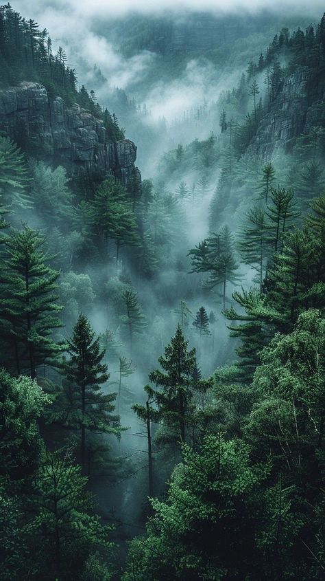 Forest Mountains Aesthetic, Dark Green Forest Aesthetic, Dark Green Wallpaper Iphone, Forest Wallpaper Aesthetic, Dark Forest Painting, Dark Forest Wallpaper, Foggy Forest Wallpaper, Forest Green Aesthetic, Foggy Nature