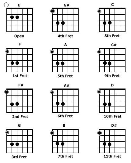 The Fret Board Reference Tool That Only The Player Can See! :: Electric Guitar Guitar Chords For Beginners, Free Guitar Chords, Chords For Beginners, Guitar Chords And Scales, Akordy Gitarowe, Guitar Cord, Learn Guitar Chords, Basic Guitar Lessons, Music Theory Guitar