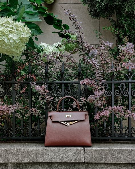 When I have no idea what to wear, I keep it simple with monochrome styling. I’m incorporating the anticipated burgundy fall trend with accessories too ♥️🤎 Is it too early for me to be excited for fall? 😅 Comment SHOP below to receive a DM with the link to shop this post on my LTK ⬇ https://liketk.it/4NCgI⠀⠀⠀⠀⠀⠀⠀⠀ ⠀⠀⠀⠀⠀⠀⠀⠀⠀ #monochromeoutfit #neutralstyle #classicoutfit #outfitinspo #summeroutfit #hermeskelly28 #vintagehermeskelly #ootd ⠀⠀⠀⠀⠀⠀⠀⠀⠀ neutral outfit,burgundy,red,maroon,linen pant... Excited For Fall, Fall Trend, Hermes Kelly 28, Linen Pant, Monochrome Outfit, Neutral Outfit, Red Maroon, Neutral Fashion, Classic Outfits