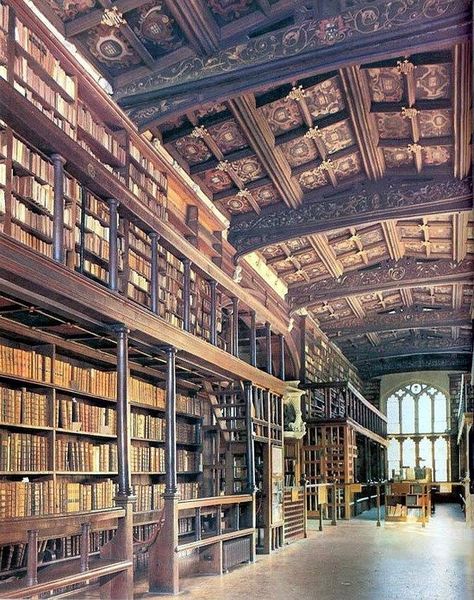 The Bodleian Library-Oxford University-England Oxford University England, Library Oxford, Bodleian Library, Lots Of Books, Dream Library, Beautiful Library, Old Library, Oxford England, A Discovery Of Witches