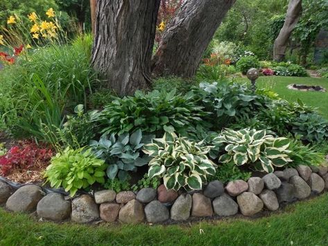 Landscape Edging Stone, Shade Landscaping, Landscaping Around Trees, Front Landscaping, Landscape Edging, Rock Garden Landscaping, Have Inspiration, Garden Yard Ideas, Front Yard Garden