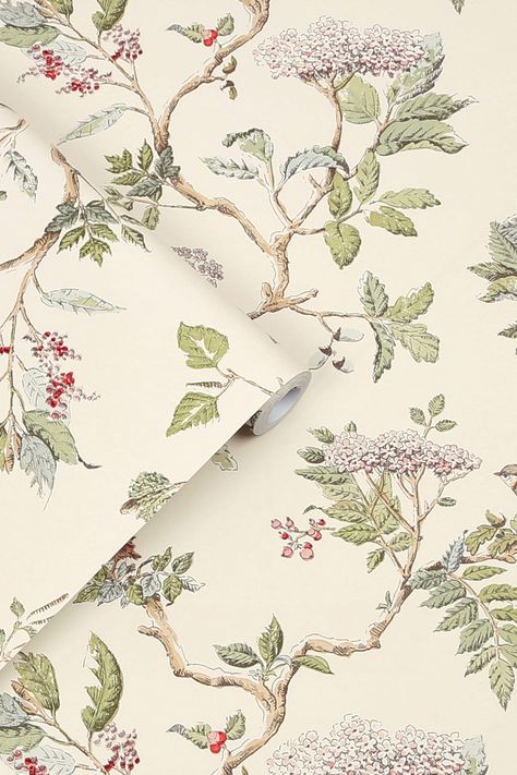 Buy Laura Ashley Natural Elderwood Wallpaper Wallpaper from the Next UK online shop Laura Ashley Elderwood Wallpaper, Laura Ashley Christmas, French Country Wallpaper, Laura Ashley Wallpaper, Soft Green Background, Chinoiserie Patterns, French Country Bedding, Cottage Wallpaper, Soft Background