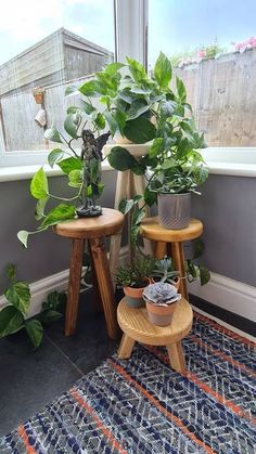 Light Oak Stain, Plant Pot Stand, Mirror Frame Diy, Pot Stand, Right Light, Diy Plant Stand, Plant Stand Indoor, Oak Stain, Apartment Decor Inspiration