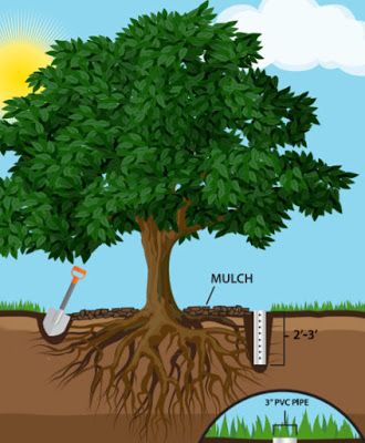 Watering Trees, Irrigation Diy, Brick Grill, Guerrilla Gardening, Watering System, California Summer, Plant Hacks, Diy Tree, Wild Fire