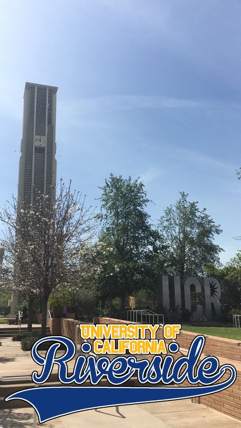 Uc Riverside Aesthetic, Uc Riverside, Uc Davis Campus, Ucsb Campus, University Of California Berkeley Aesthetic, University Of California Riverside, University Of California Irvine, Graduation Poses, Dream College