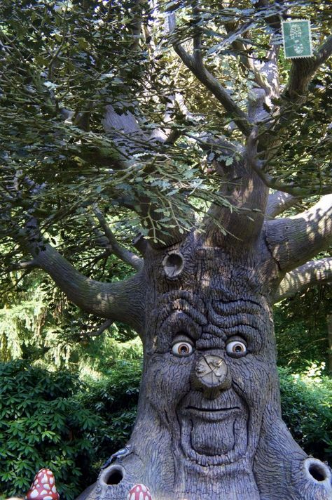 Efteling: Feeling Like "Alice in Wonderland" - eTramping.com Strange Images, Tree Carvings, Tre Kunst, Boom Kunst, Weird Trees, Tree People, Matka Natura, Tree Faces, Tree Spirit