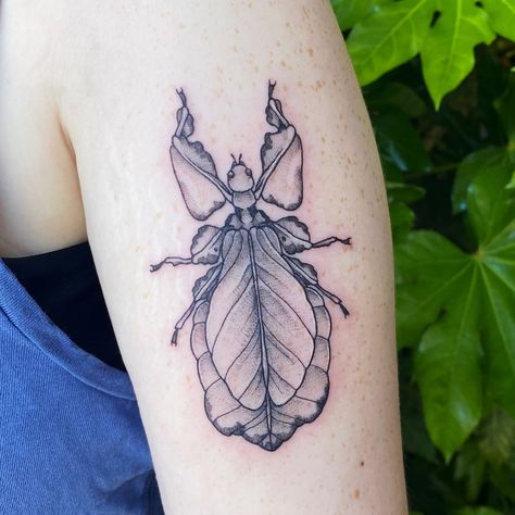 Sweet Leaf Bug!! Thanks Mimi 🌱💚 • #tattoo#tattoos#tattooartist#tattoodesign#tattooart#pnwtattoo#pnwtattooartist Leaf Bug Tattoo, Lovebug Tattoo, Leaf Bug, Shin Tattoo, Funky Tattoos, Leaf Tattoo, Bug Tattoo, Insect Tattoo, Sick Tattoo