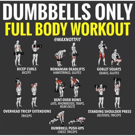 (paid link) Workout Plan for Men Routines for Men: The Ultimate Guide  Wellness Topics  Fitness Best Home Dumbell Workout, At Home Workouts For Men Dumbbells, Dumbell Home Workout For Men, Dumbbells Only Workout, Home Workouts For Men Dumbell, Workout With Dumbbells Men, Home Dumbell Workout Men, Weight Training With Dumbbells, Men’s Dumbbell Workout