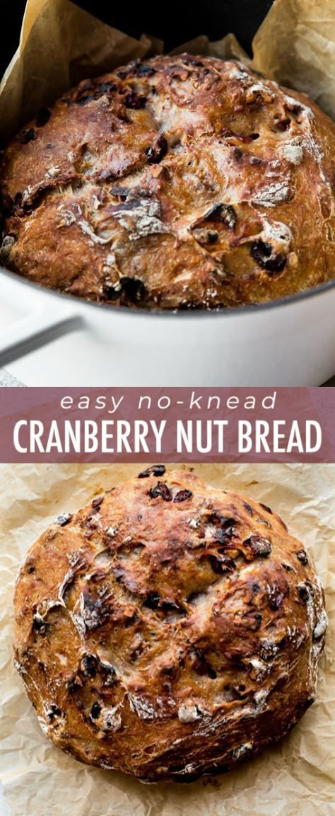 Easy Breads, Cranberry Nut Bread, Cranberry Walnut Bread, Breads Recipes, Nut Bread Recipe, Dutch Oven Bread, Knead Bread Recipe, Recipes Bread, Artisan Bread Recipes