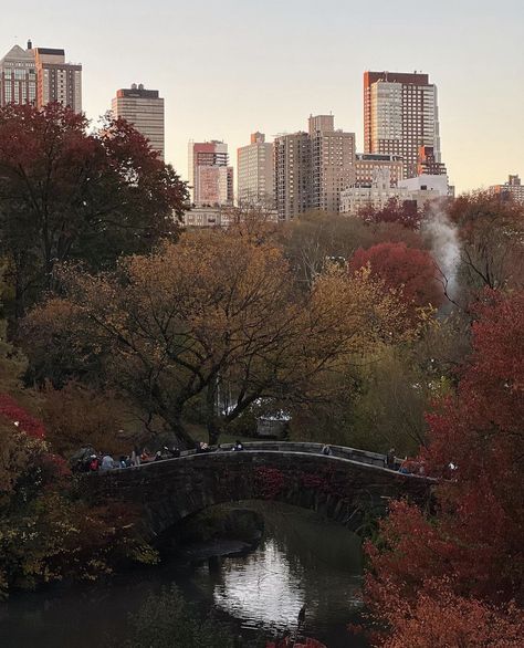 New York Autumn, Fall In Nyc, Nyc Fall, Autumn In New York, Nyc Aesthetic, Nyc Life, New York Life, City That Never Sleeps, Dream City