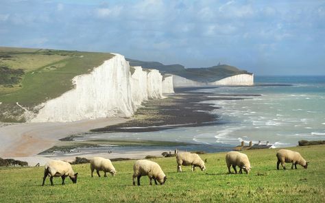 Seven Sisters, East Sussex, England White Cliffs Of Dover, White Cliffs, South Downs, Sussex England, Seven Sisters, Green Hills, Tropical Beaches, Relaxing Vacations, Need A Vacation