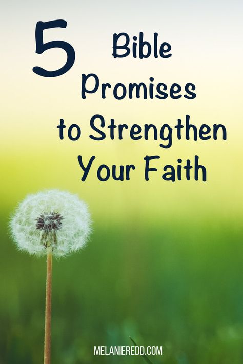 Positive Scripture, Having Faith In God, Faith Quotes Positive, Promise Quotes, Having Faith, Gods Will, Beautiful Sayings, Bible Verses About Faith, Powerful Scriptures