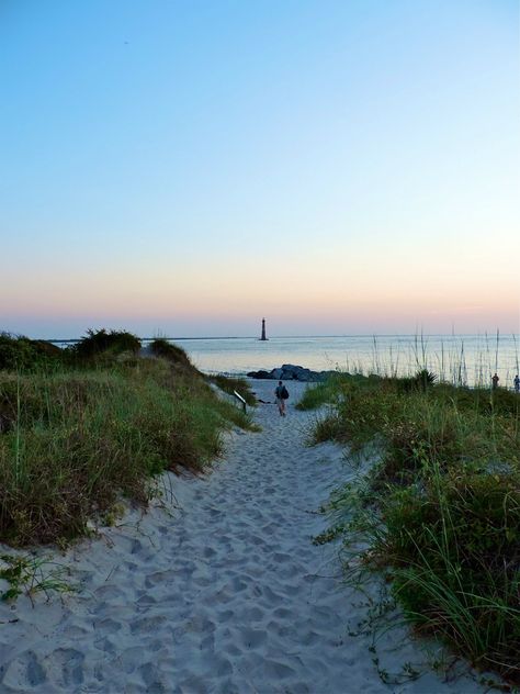 Stamped Passport, Charleston Living, Folly Beach South Carolina, Charleston Beaches, Charleston Vacation, South Carolina Travel, Charleston Travel, South Carolina Beaches, Clean Beach