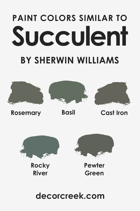 Succulent Paint Color SW-9650 By Sherwin-Williams Sw Basil Paint, Succulent Paint Color, Sherwin Williams Paint Colors Green, Basement Paint Colors, Christmas Nail Colors, Trim Paint Color, Succulent Painting, Dark Color Palette, Neutral Paint Colors