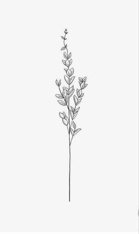 20 Delicate Lavender Sprig Tattoo Ideas – EntertainmentMesh Lavender Tattoo Sketch, Lavender Tattoo Drawing, Simplistic Lavender Tattoo, Lilac Sprigs Tattoo, Lavender Flower Tattoo Design, Drawings Of Lavender, Lavender Drawing Tattoo, Lavender Sprigs Drawing, Flower Spine Tattoos With Words