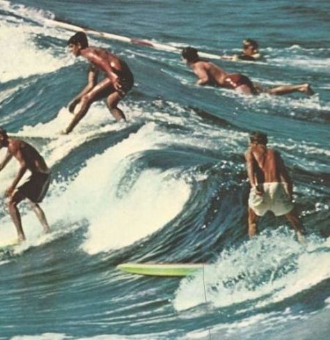 australia vintage beach retro ocean 1960s surfing 60s surfers surfers paradise #BeachPhotosparadise Surfing Vintage, Retro Ocean, Surfer Aesthetic, Photowall Ideas, Australia Vintage, Ocean Paradise, Vintage Surfing, Beach Retro, Surf Aesthetic