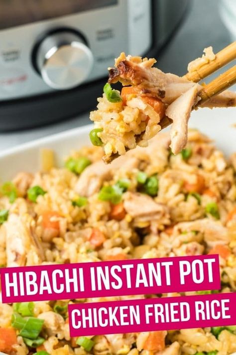 Hibachi Instant Pot, Chicken Tacos Instant Pot, Instant Pot Fried Rice, Tacos Instant Pot, Instant Pot Chicken Tacos, Instant Pot Chicken Noodle Soup, Instant Pot Chicken Noodle, Hibachi Recipes, Chicken Fried Rice Easy