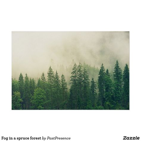 Fog in a spruce forest poster Wall Mural Forest, Interior Murals, Wood Company, Green Rooms, Wood Canvas, Photography Wall, Photo On Wood, Metal Art Prints, Green Wall