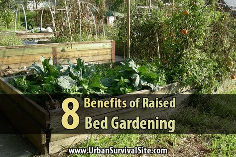 There are many benefits of raised bed gardening, especially if the only space you have is in your backyard. It's also better if you're new to gardening. Raised Veggie Garden Beds, Raised Veggie Garden, Raised Beds Garden, Veggie Garden Beds, Vegetable Garden Planner, Survival Garden, Beautiful Home Gardens, Benefits Of Gardening, Survival Gardening