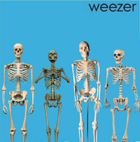 Weezer skeletons Weezer Blue Album Cover Funny, Weezer Blue Album Cover, Weezer Album Cover, Weezer Poster, Weezer Blue, Rivers Cuomo, Buddy Holly, Having No Friends, Zoo Wee Mama