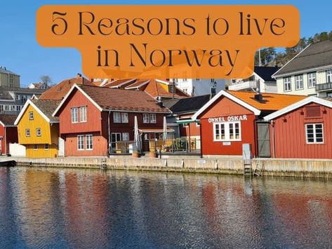 Norway and the Nordic countries are always popular places to move to and with good reason. Here are my 5 reasons for moving to Norway #livinganordiclife #simpleliving #norway #rusticliving #hyggehome #hyggelife #norge #thenordicway #lifegoals Hygge Life, Popular Places, Nordic Countries, Hygge Home, Rustic Living, Reasons To Live, But Why, Simple Living, Life Goals