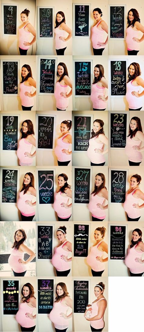 Pregnancy timeline. Pregnancy Blog Pregnancy Timeline Photos, Pregnancy Belly Growth, Pregnancy Timeline, Chalkboard Ideas, Holiday Quotes, Baby E, Baby Time, Pregnant Belly, Everything Baby